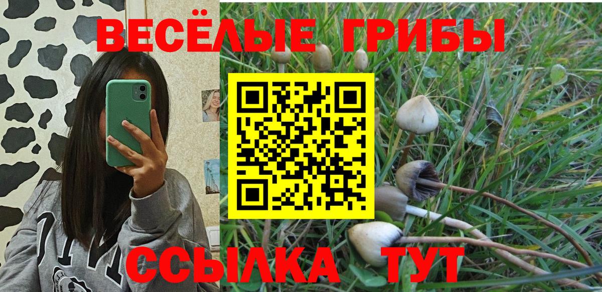 Химки  Псилоцибиновые грибы Magic Shrooms  Вход с VPN  Галлюциногенные грибы мицелий 