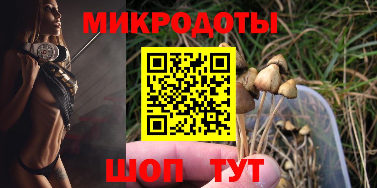 Псилоцибиновые грибы Psilocybine cubensis Химки